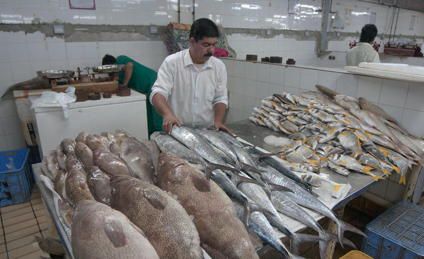 In Qatar: Hamour is now QR100 per kilogram