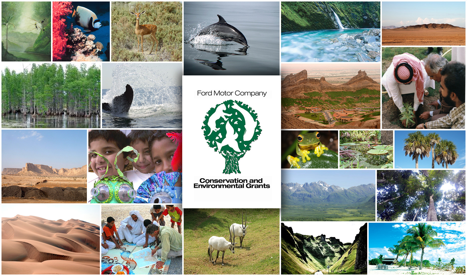 Ford receives over 300 entries for environmental grants