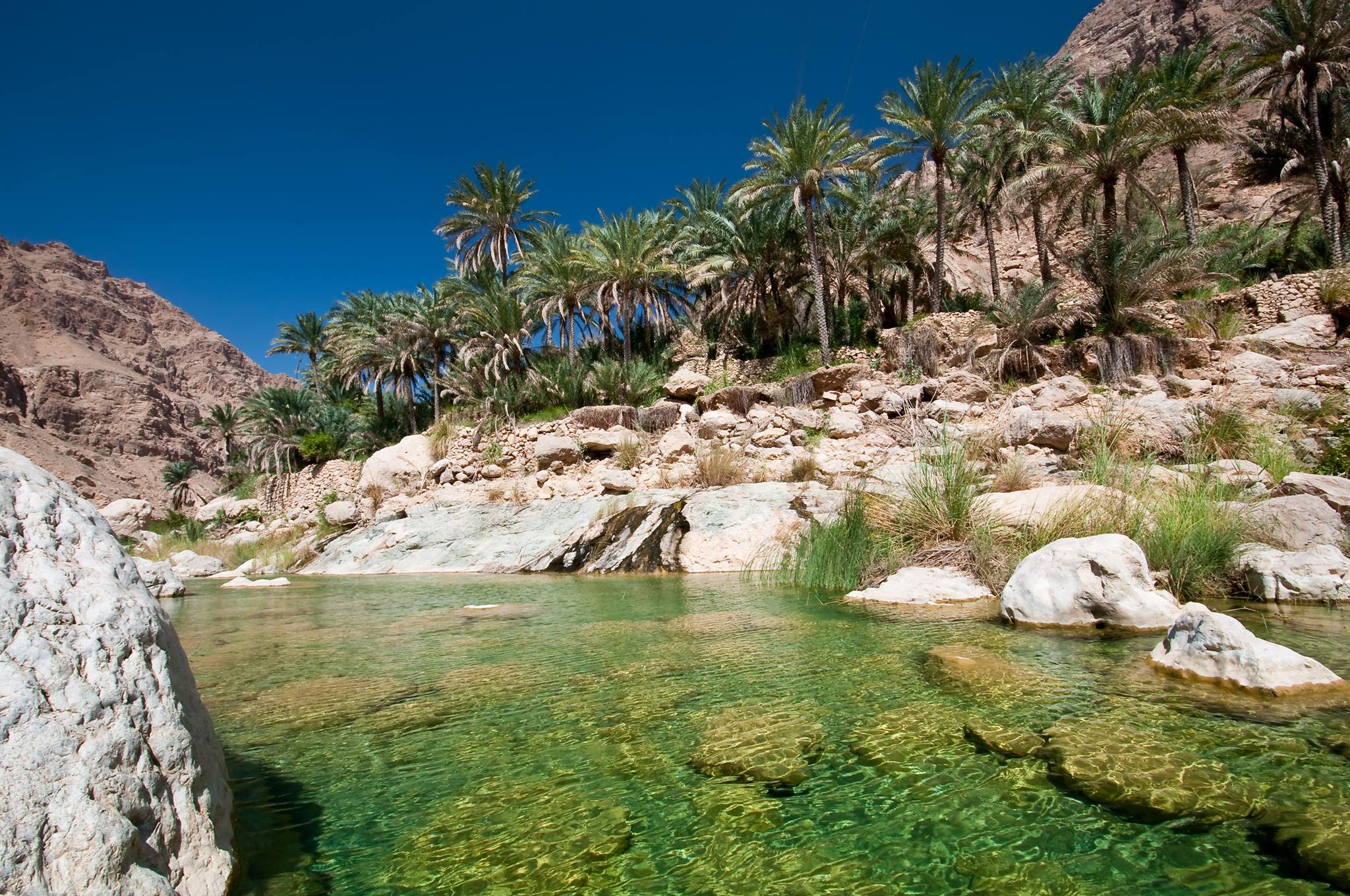 WIN a two night stay in Salalah, Oman from Qatar Living