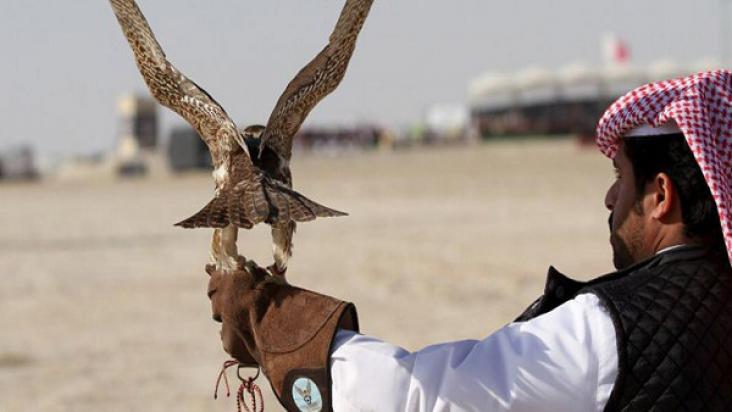 16 members of Qatari hunting party arrested in Pakistan