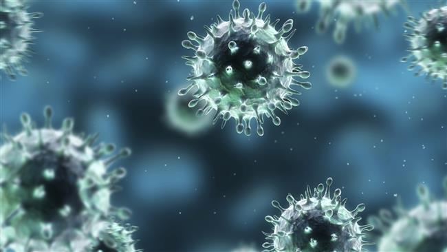 Qatar issue travel advisory against visiting Sri Lanka due to swine flu