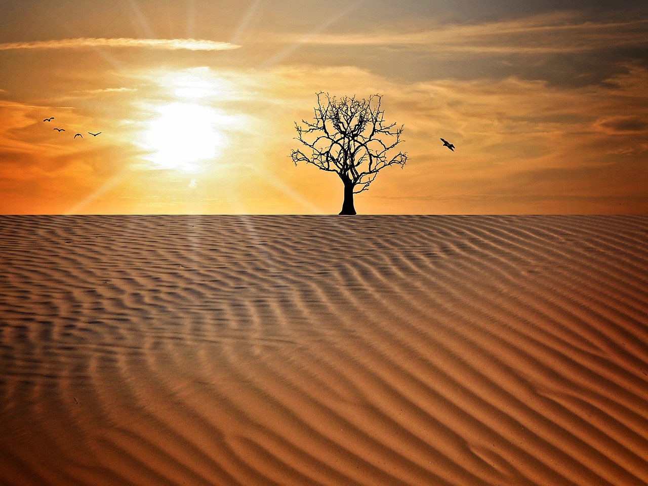 Qatar to experience hot weather today with temperatures expected to touch 43°C 
