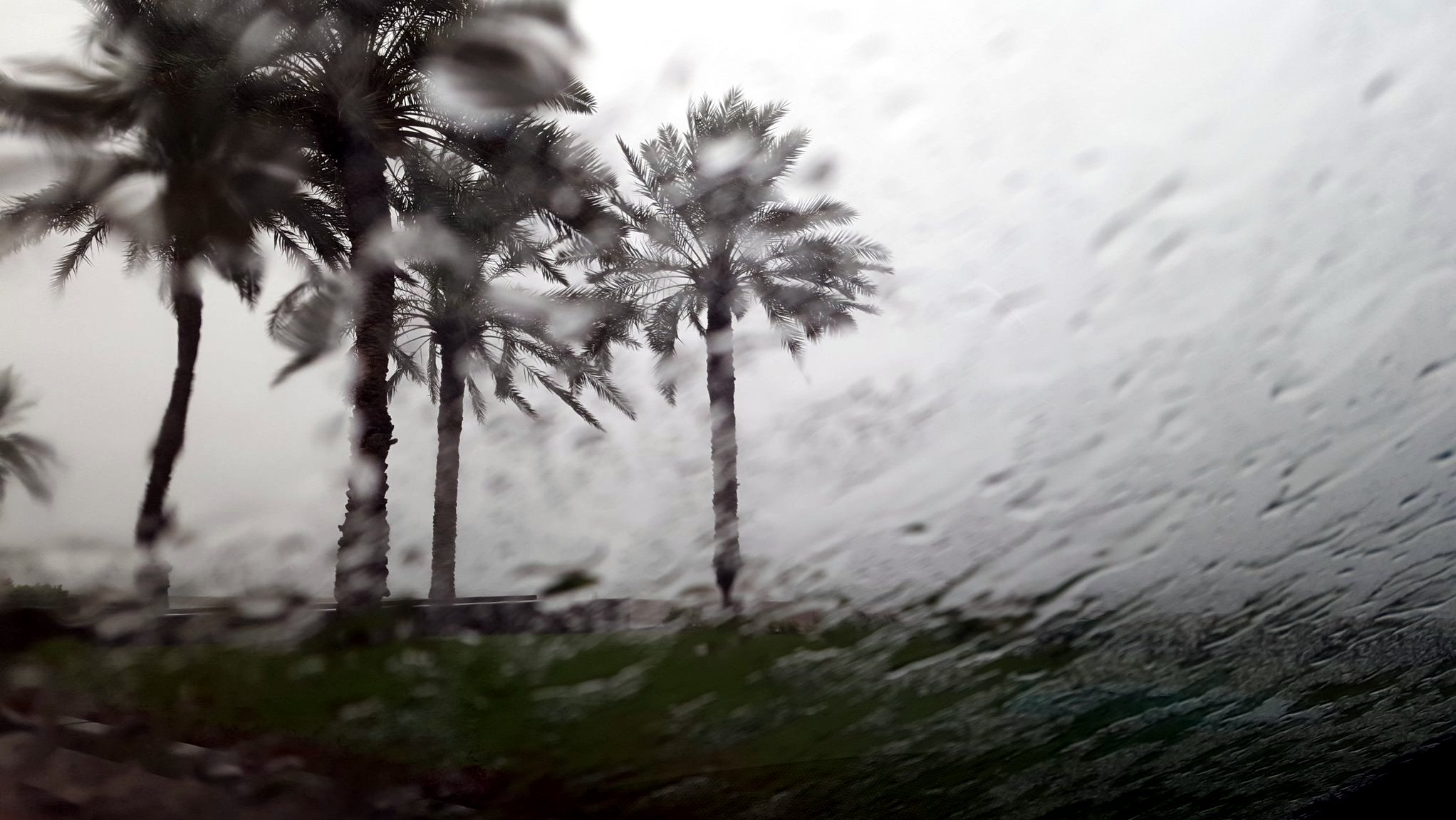 The rains are back in full force. Did you experience any of it today?