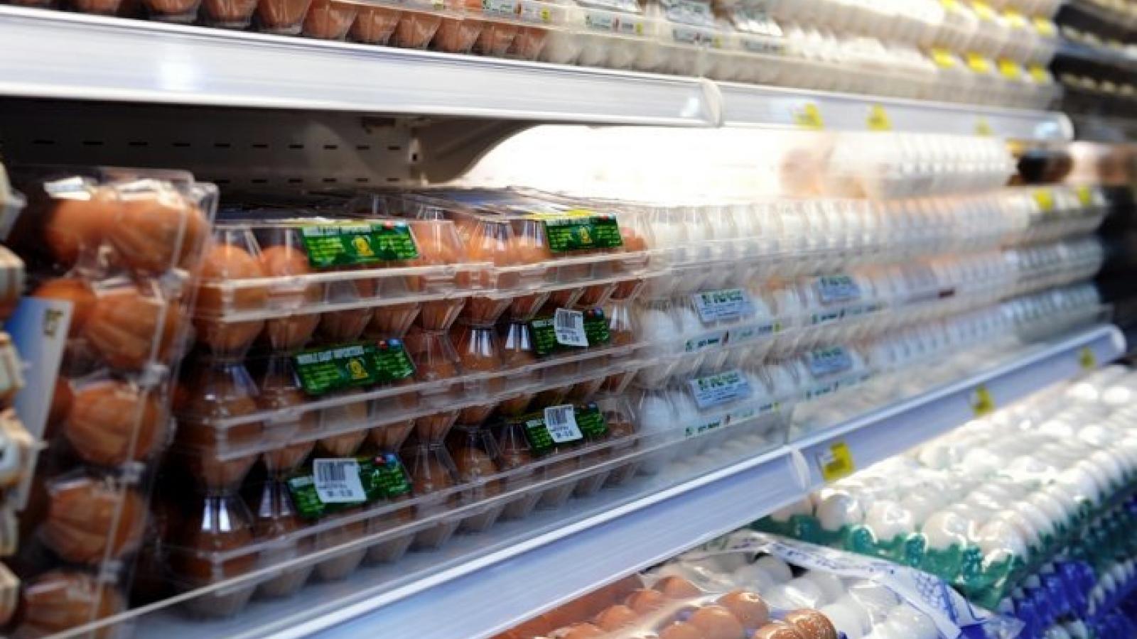 MME and QDB initiative to boost egg production in Qatar