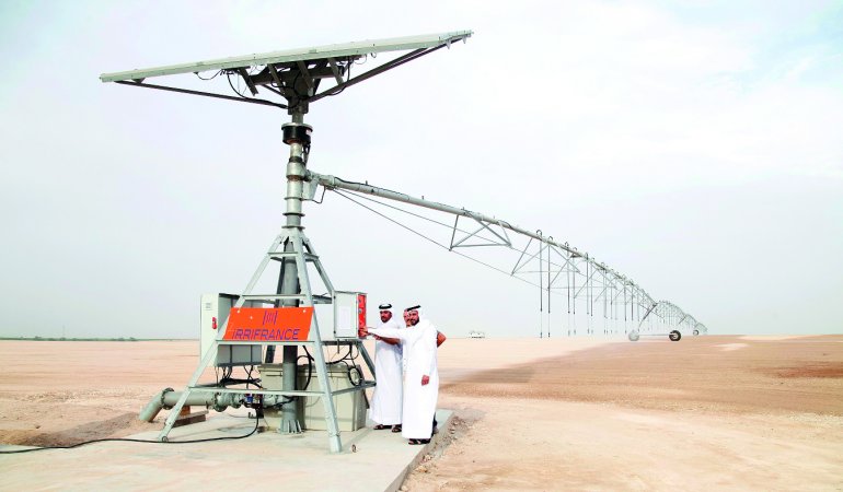 Hassad Food initiates expansion phase to boost fodder production in Qatar