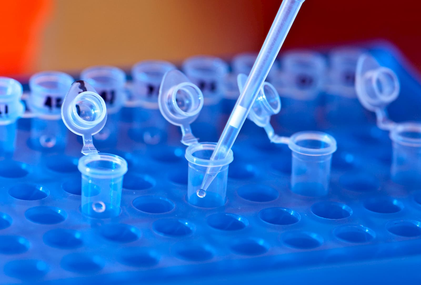 MoPH to utilize saliva-based COVID-19 test for children as part of national testing program