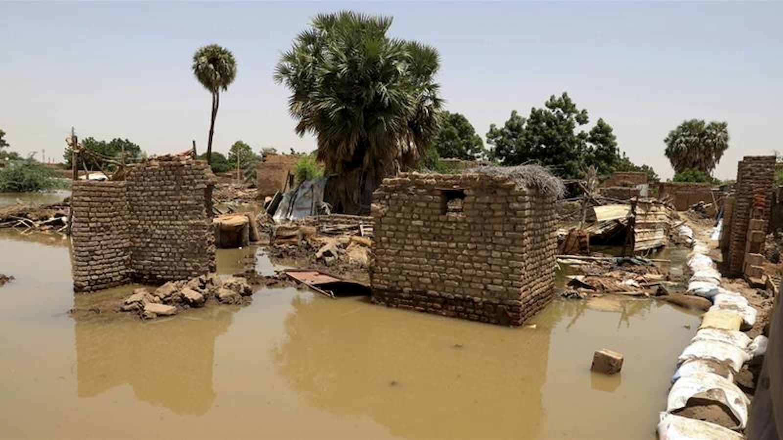 Some donation campaigns in Qatar for Sudan