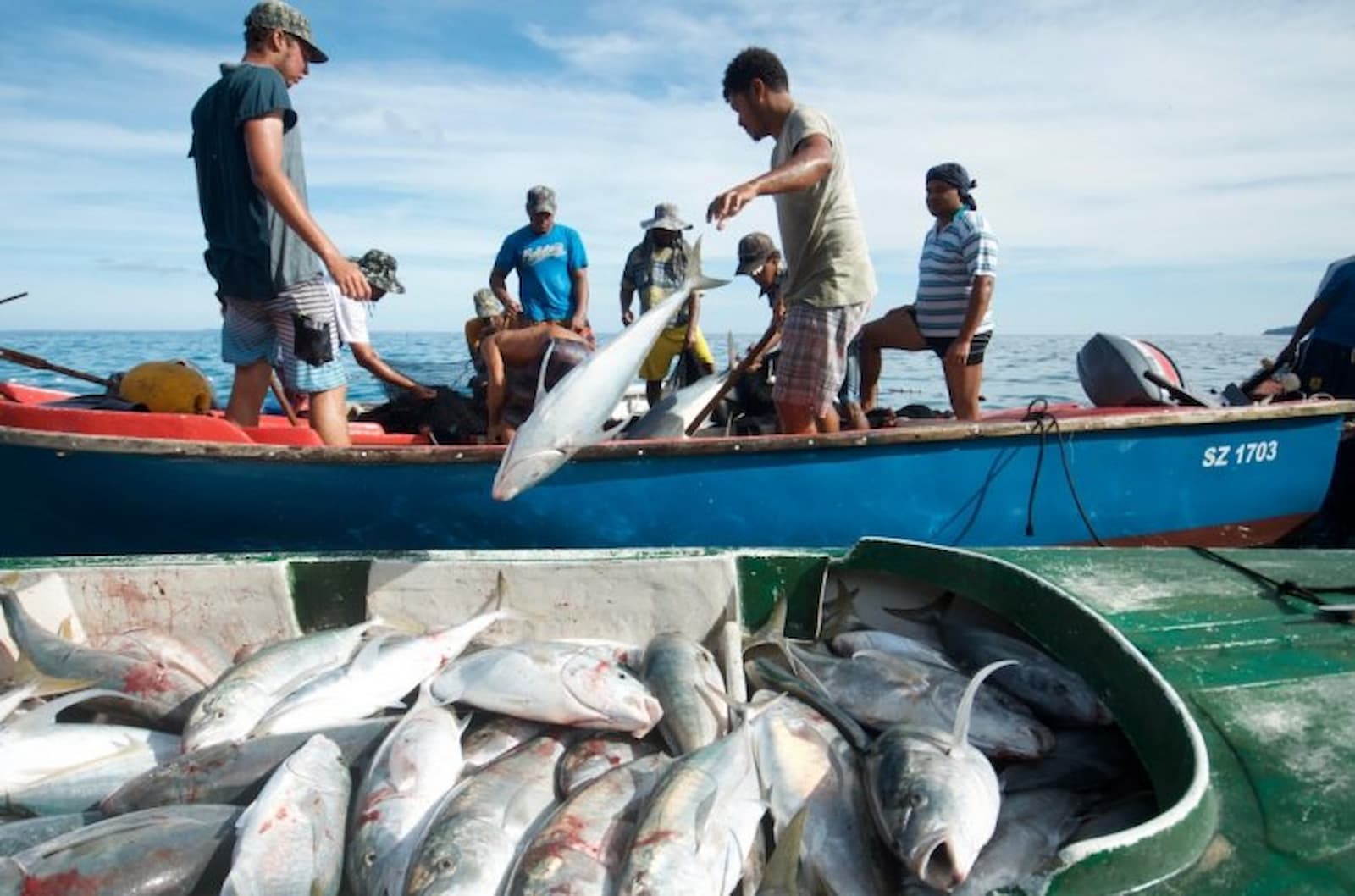 How to go fishing in Qatar