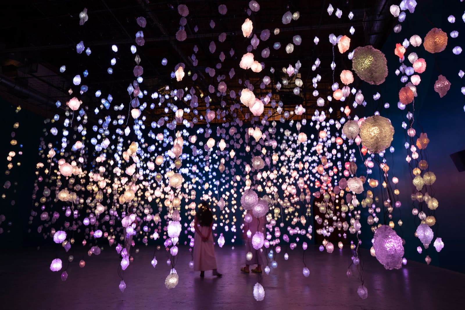 Two immersive exhibitions continuing at National Museum of Qatar 