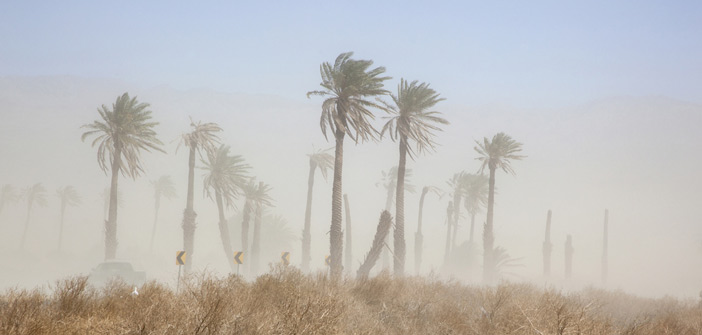 Qatar to expect strong wind and poor visibility today 