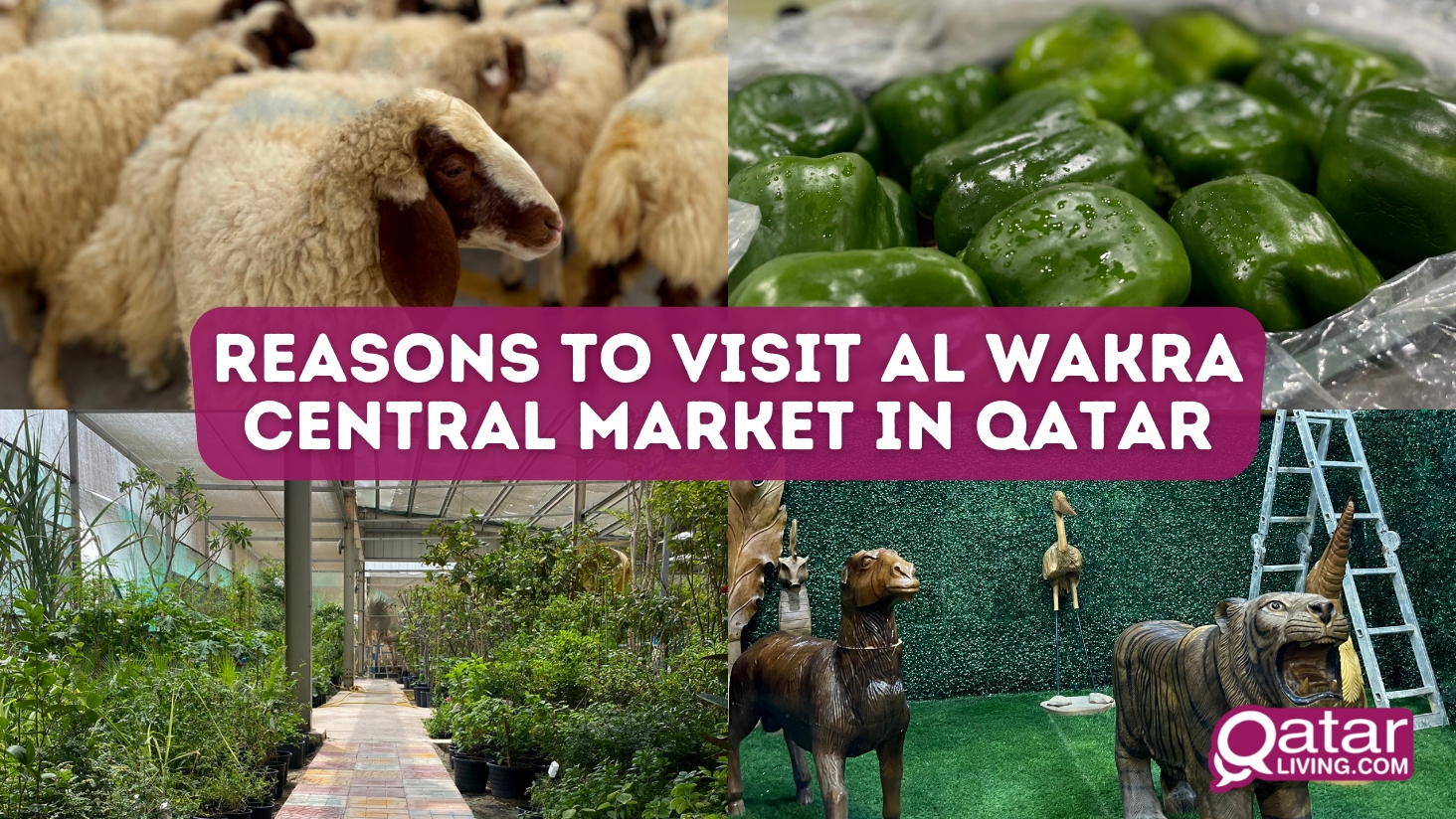 Reasons to visit Al Wakra Central Market in Qatar