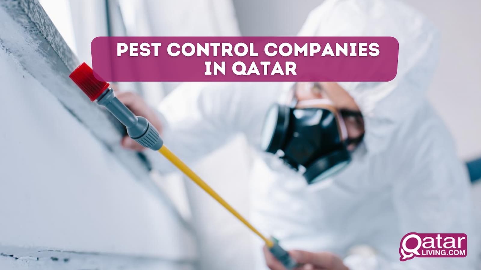 Pest Control Companies In Qatar