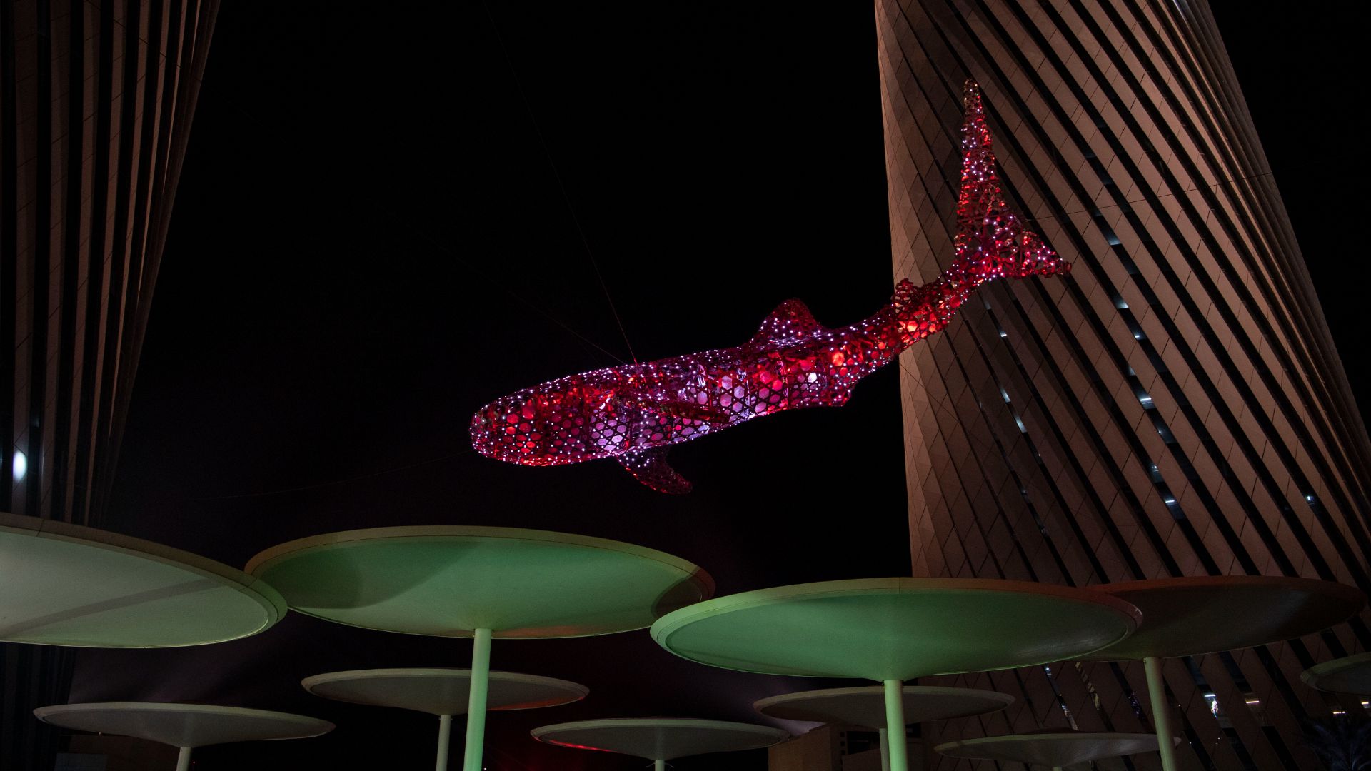 Qatari Diar unveils the whale shark Al Nehem at Lusail Boulevard
