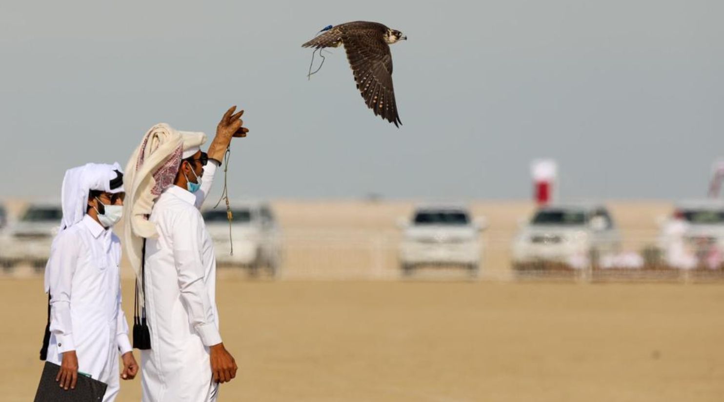 Katara opens registrations for 14th Marmi Festival from December 24—26