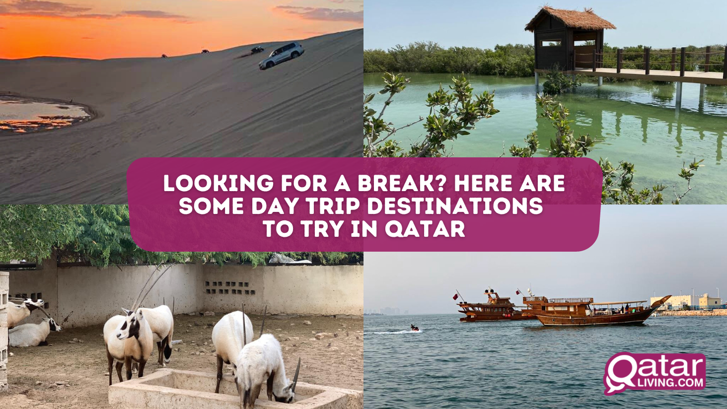 Looking for a break? Here are some day trip destinations to try in Qatar