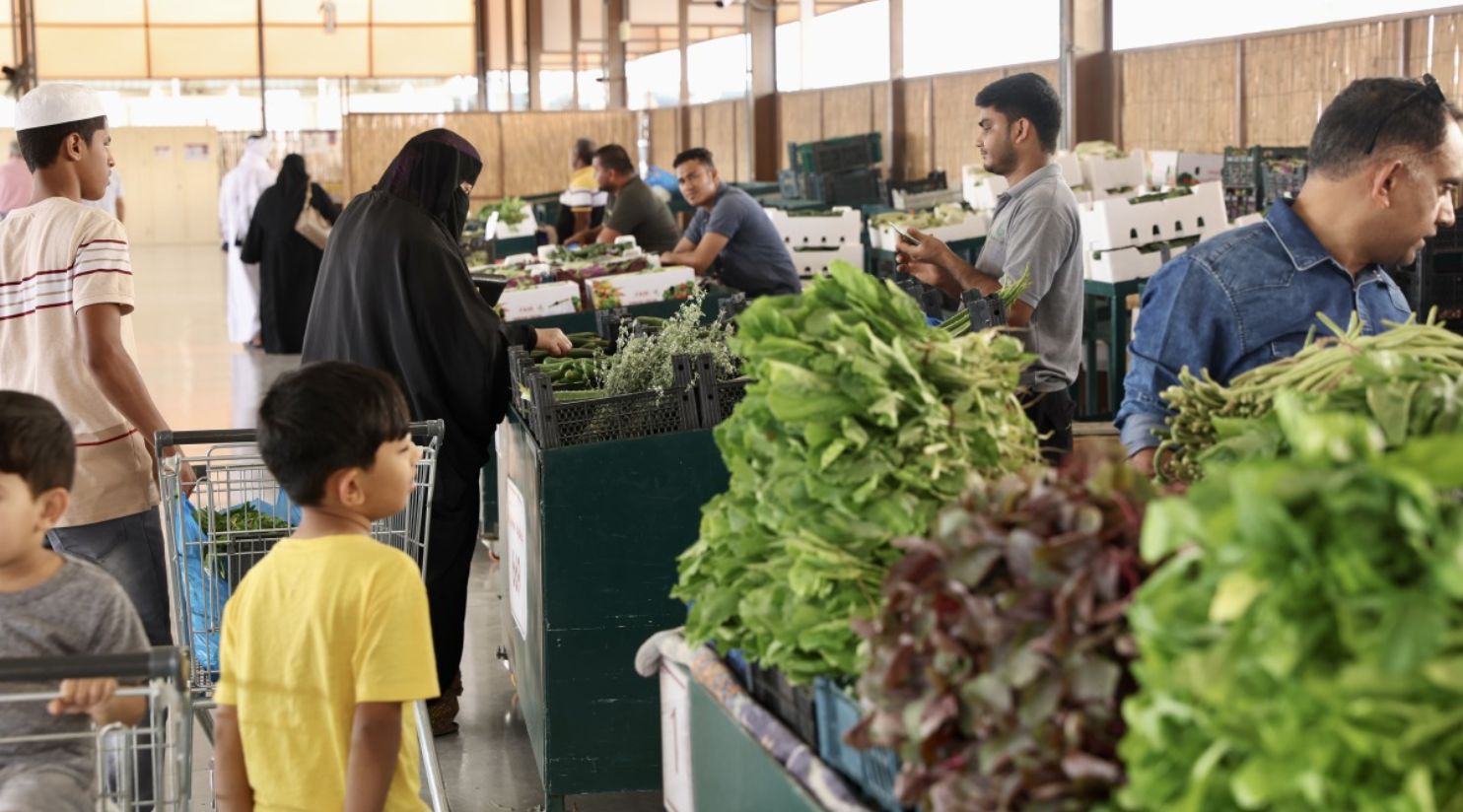 Authorities reopen five seasonal vegetable markets featuring over 140 local farms