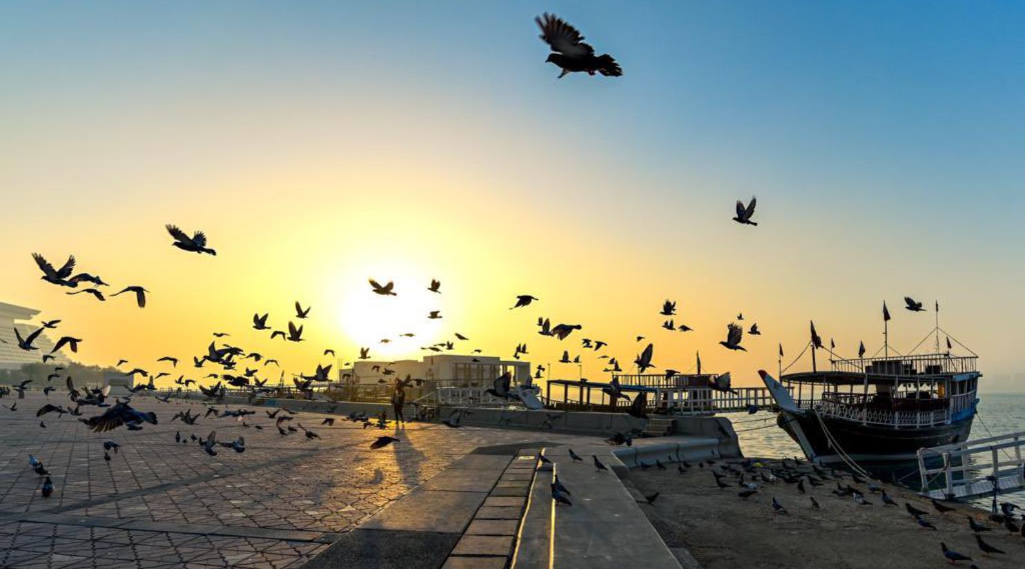 Qatar prepares for ‘coldest nights of the year’ as Al Shola star appears