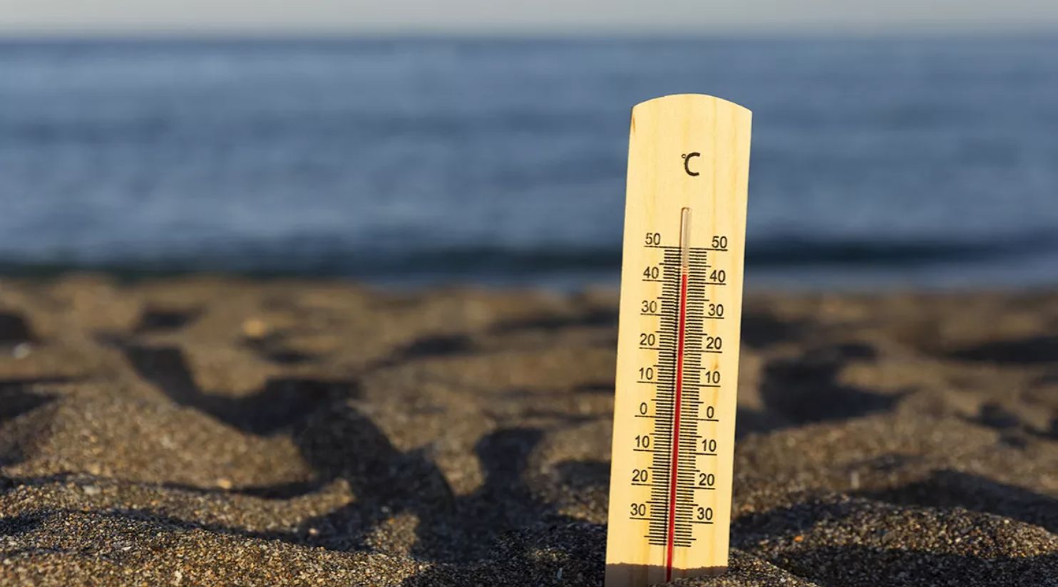 Essential Summer Safety Tips You Cannot Ignore
