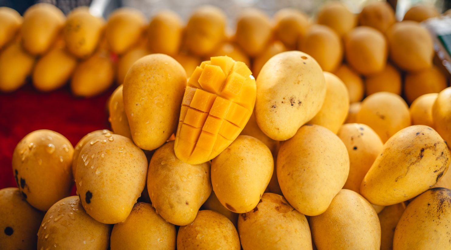 Pakistani Mango Festival returns to Souq Waqif