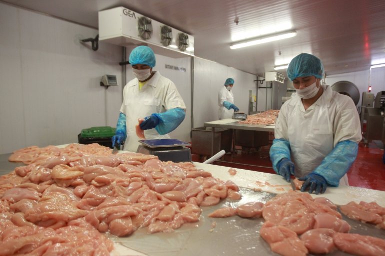 Qatar achieves 100% self-sufficiency in poultry, meat and dairy fields, says top minister