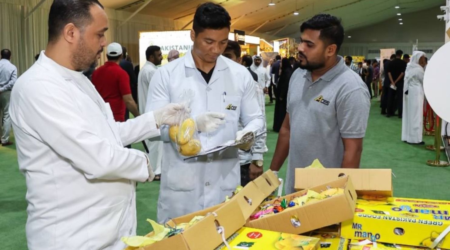 مهرجان المانجو الباكستاني يجذب 84,600 زائر في سوق واقف