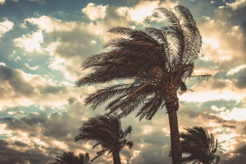 Suhail season begins August 24, signalling gradual easing of summer heat in Qatar