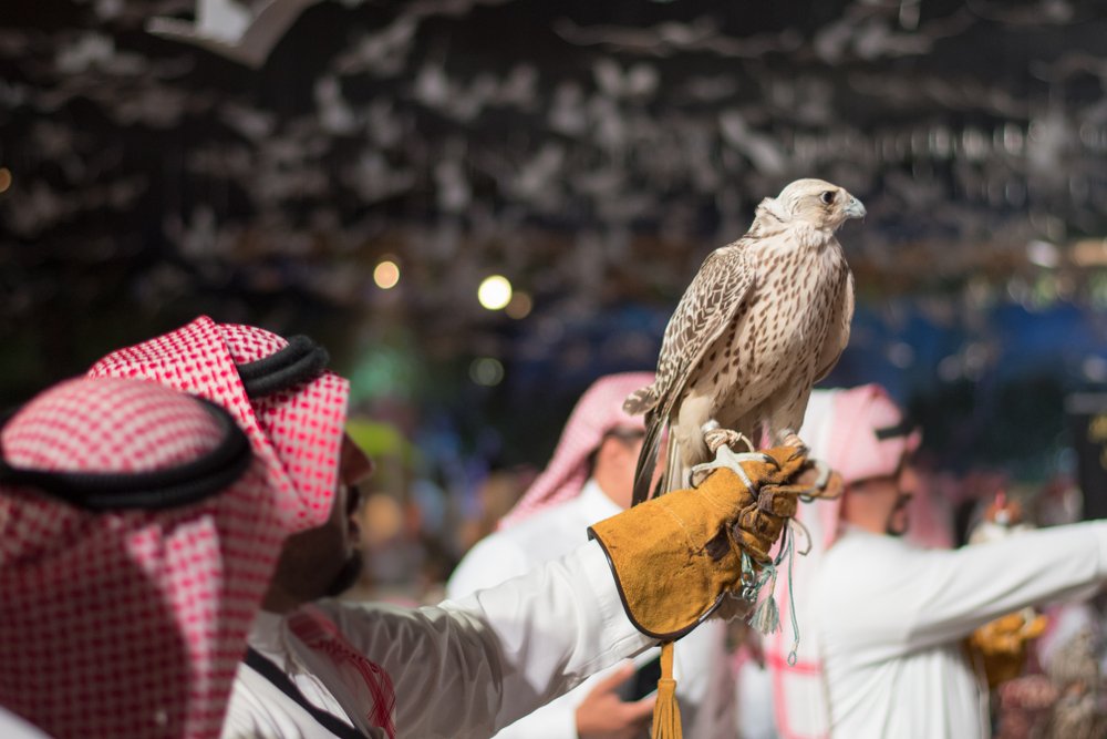 MOI offers assistance to recover lost falcons in industrial areas