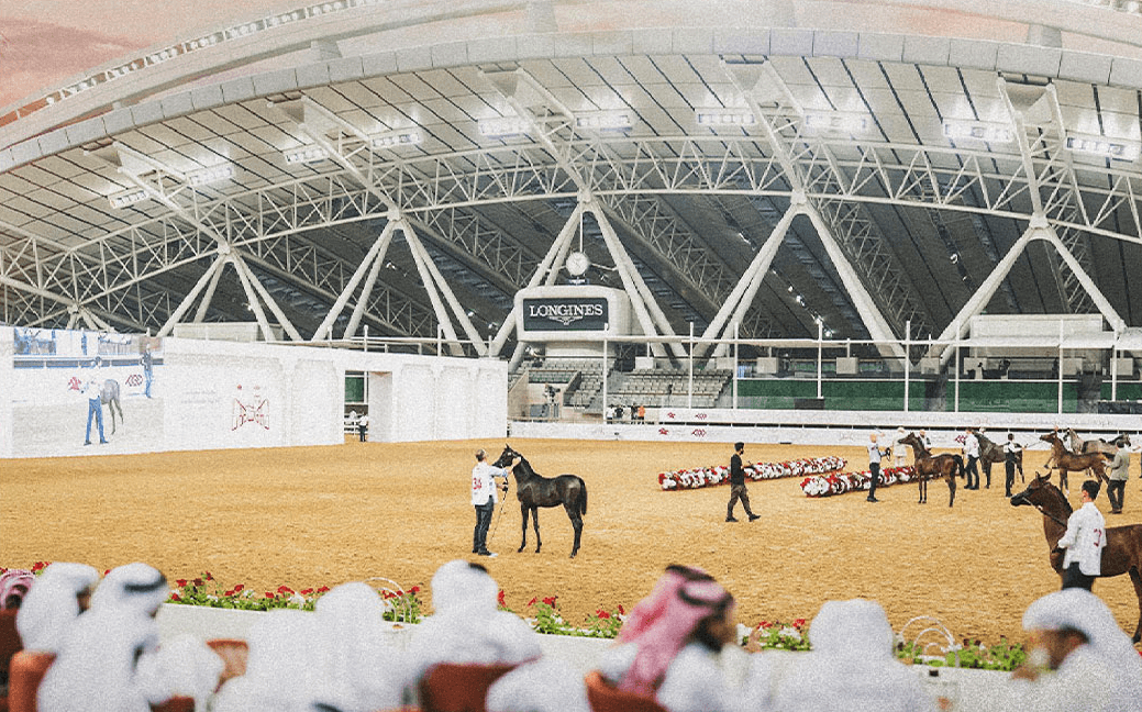 Al Shaqab International Arabian Horse Championship returns from November 4–7