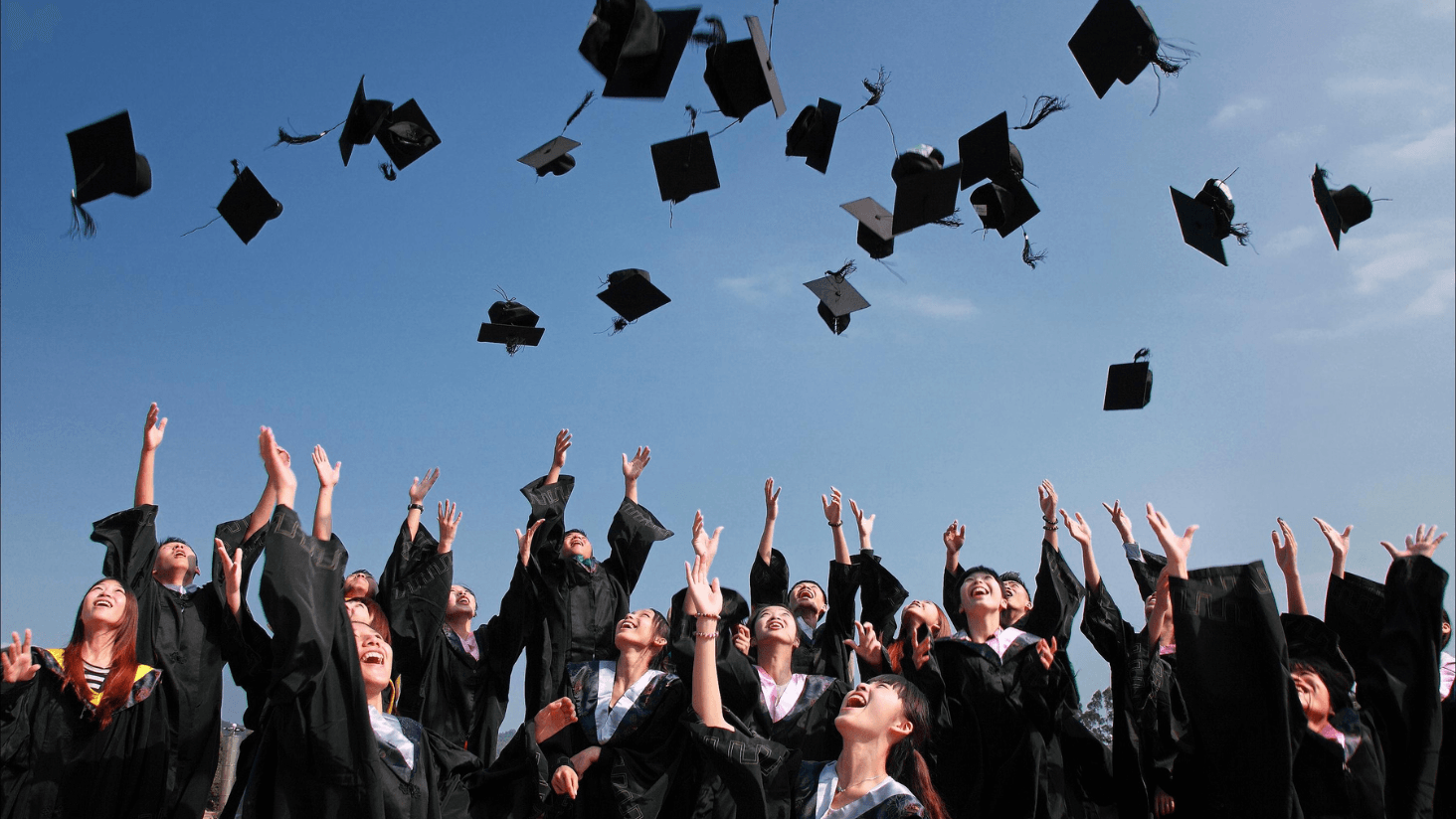 81 outstanding students to be recognised by Qatar’s Education Ministry on Sep 29