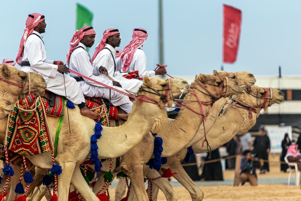 Camel racing returns to Al Shahaniya from October 14