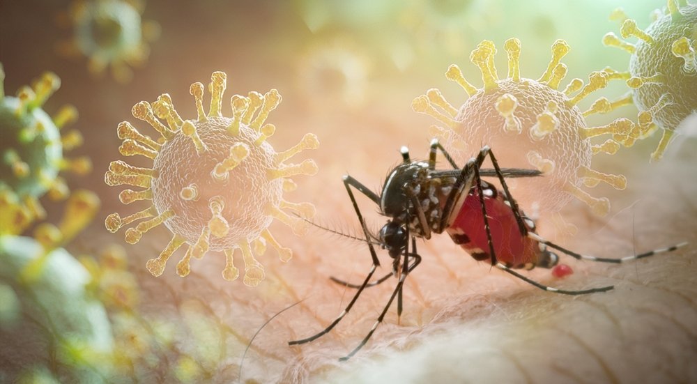 Ministry of Municipality urges residents to prevent mosquito breeding after rainfall