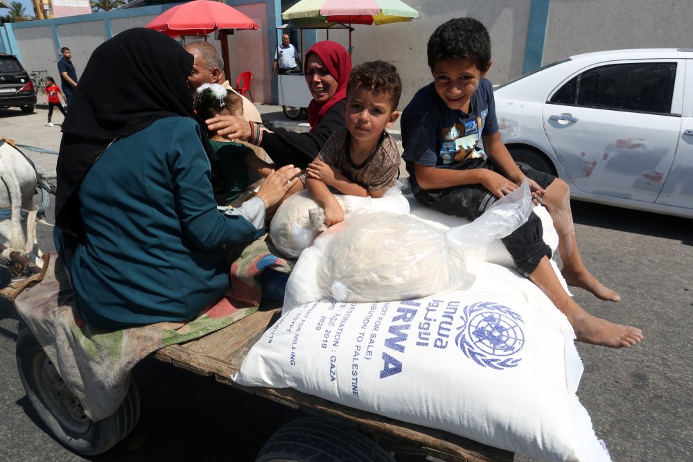 World Food Programme: 266 million people in the world currently face acute food insecurity