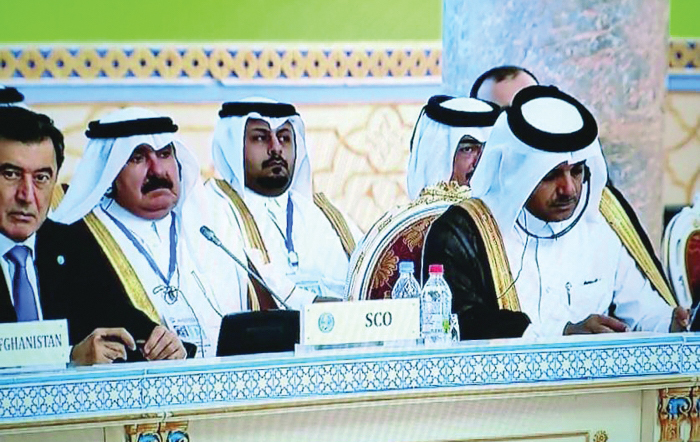 Qatar stresses need to combat terrorism at international conference