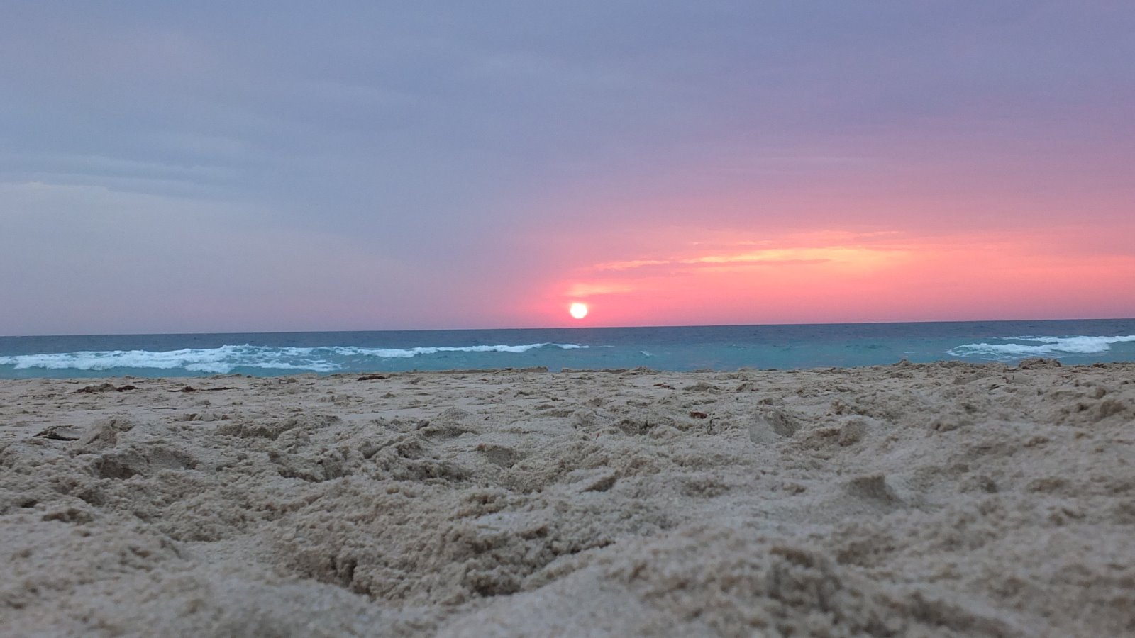 5 easy ways you can help protect Qatar’s beaches
