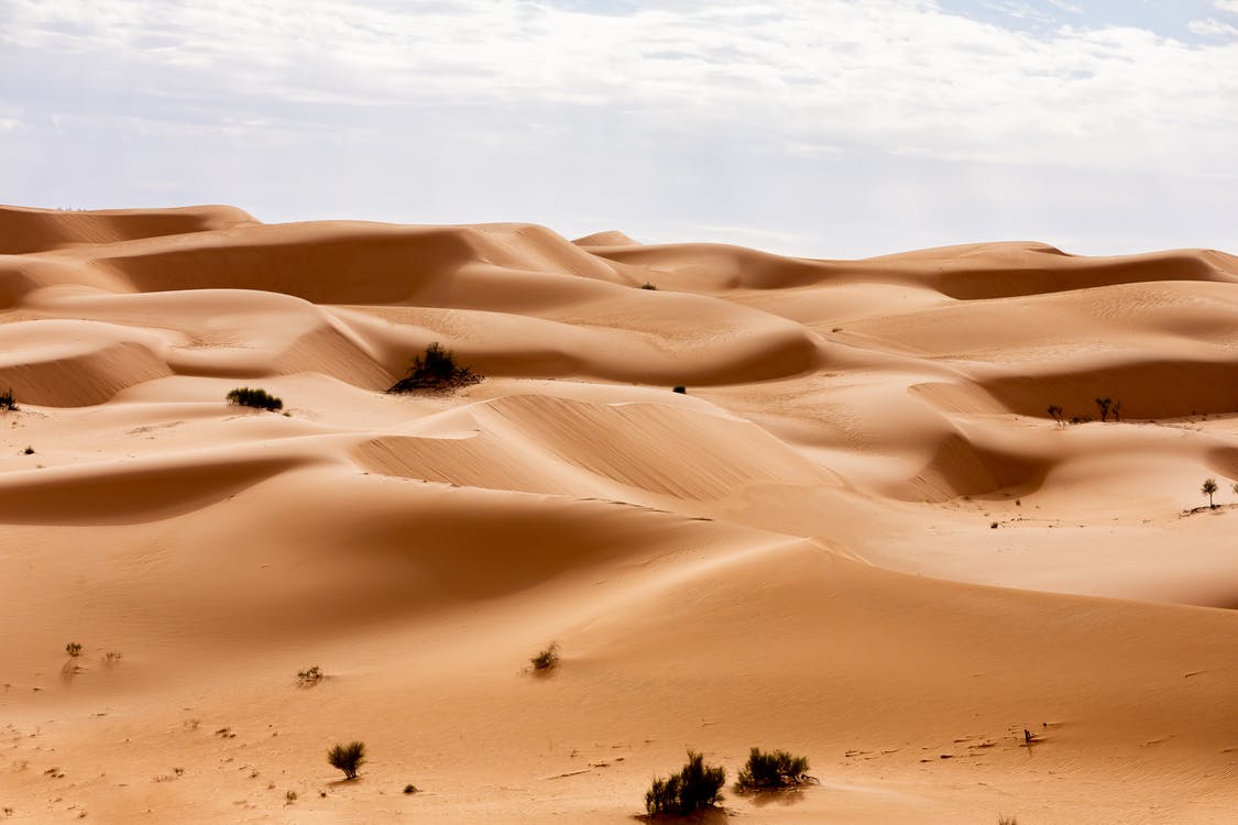 'Poison Wind' season arrives in Qatar
