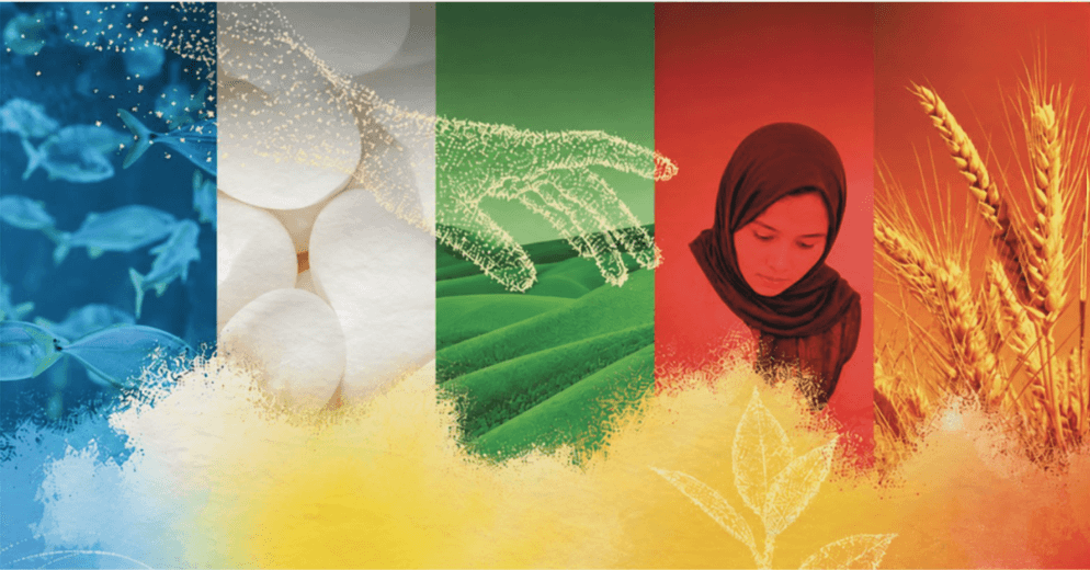 World Food Day sustainability event