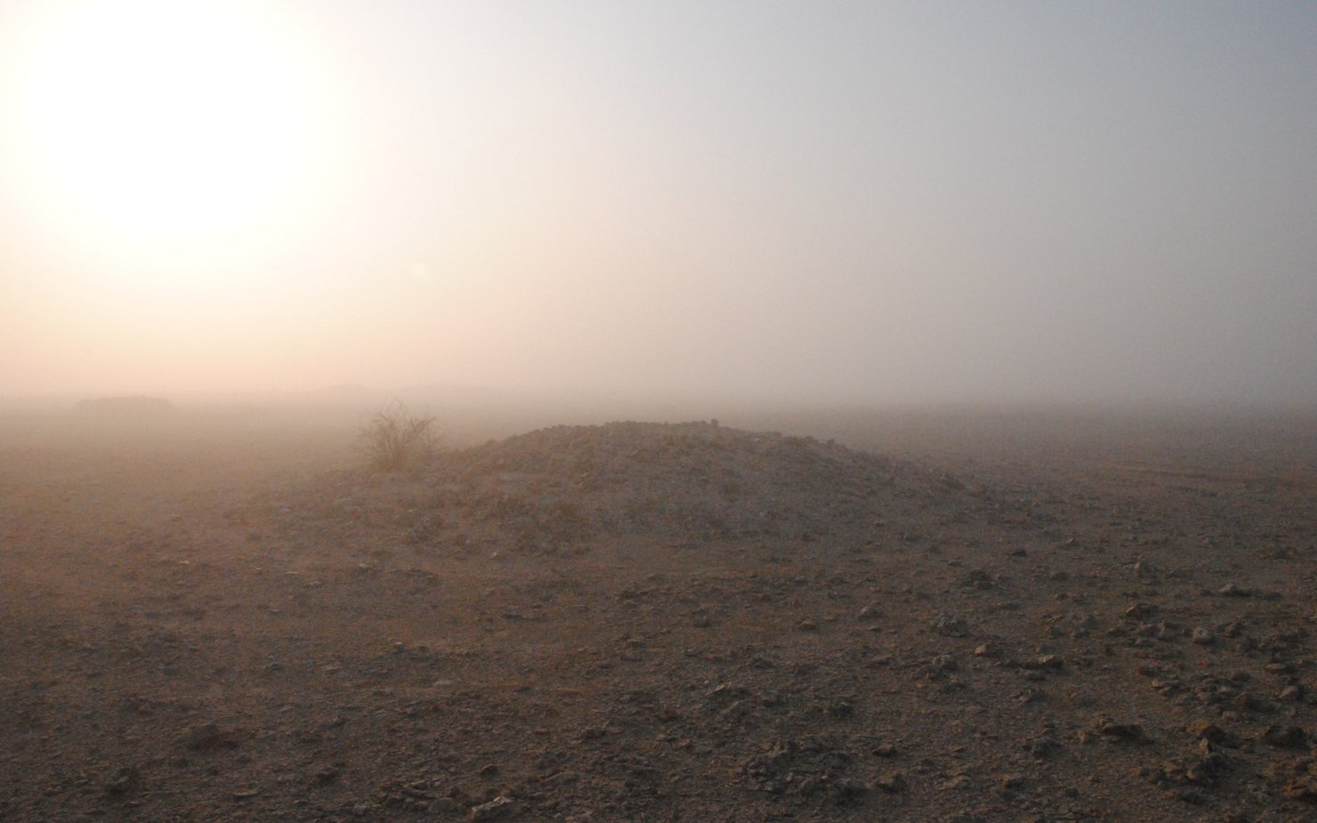 Atharna 2026: Life and Death in Pre-Islamic Qatar